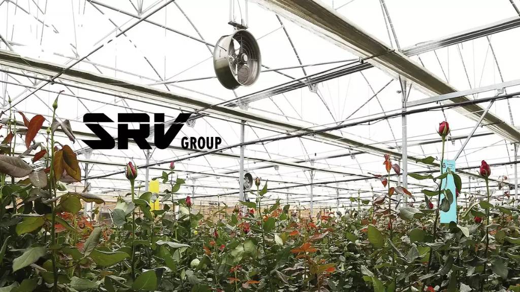 Sadid Roish Vista Industrial Agricultural Group